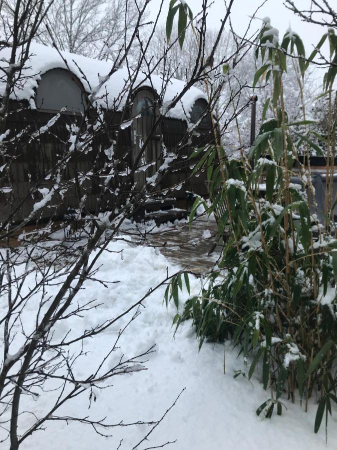 Cabane En Bois Avec Bain Nordique Et Sauna Marigny  Eksteriør billede